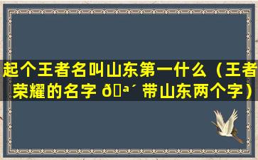 起个王者名叫山东第一什么（王者荣耀的名字 🪴 带山东两个字）